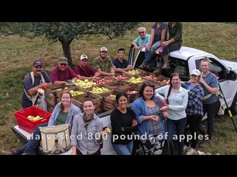 A Look Back at OSGF in 2019