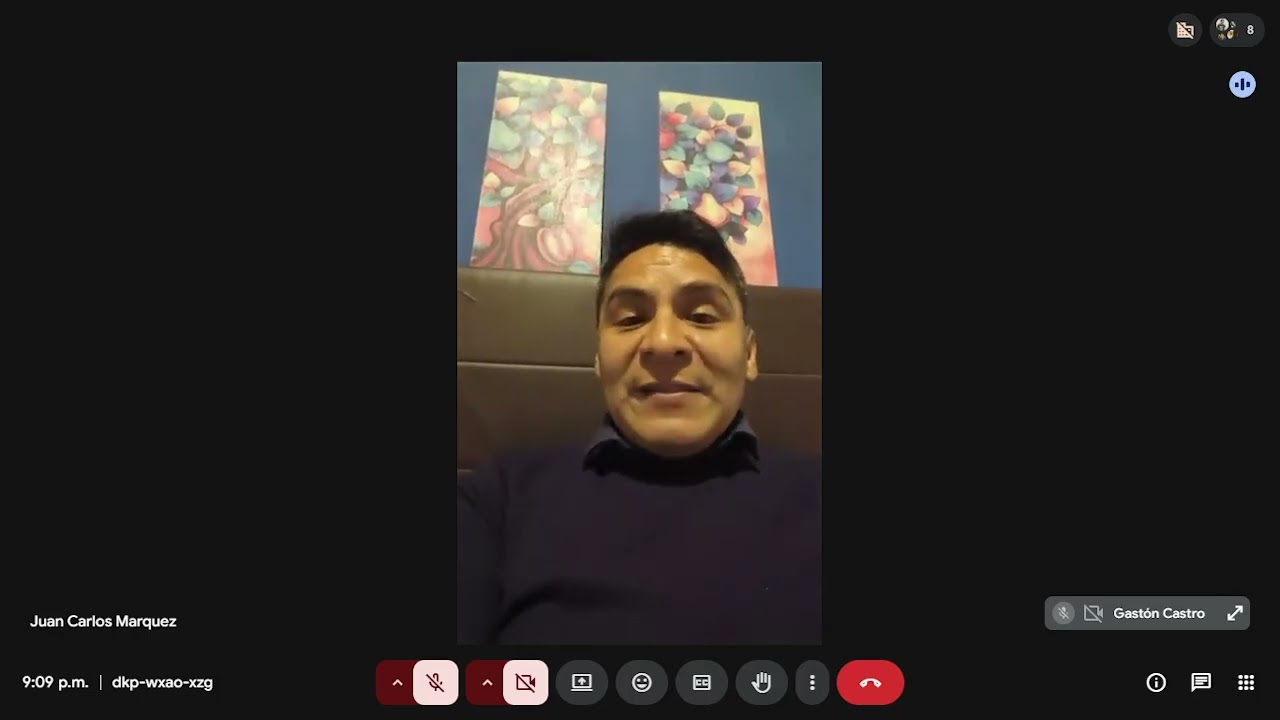 reunion virtual coordinadores de grupos didactica 13/5/2026