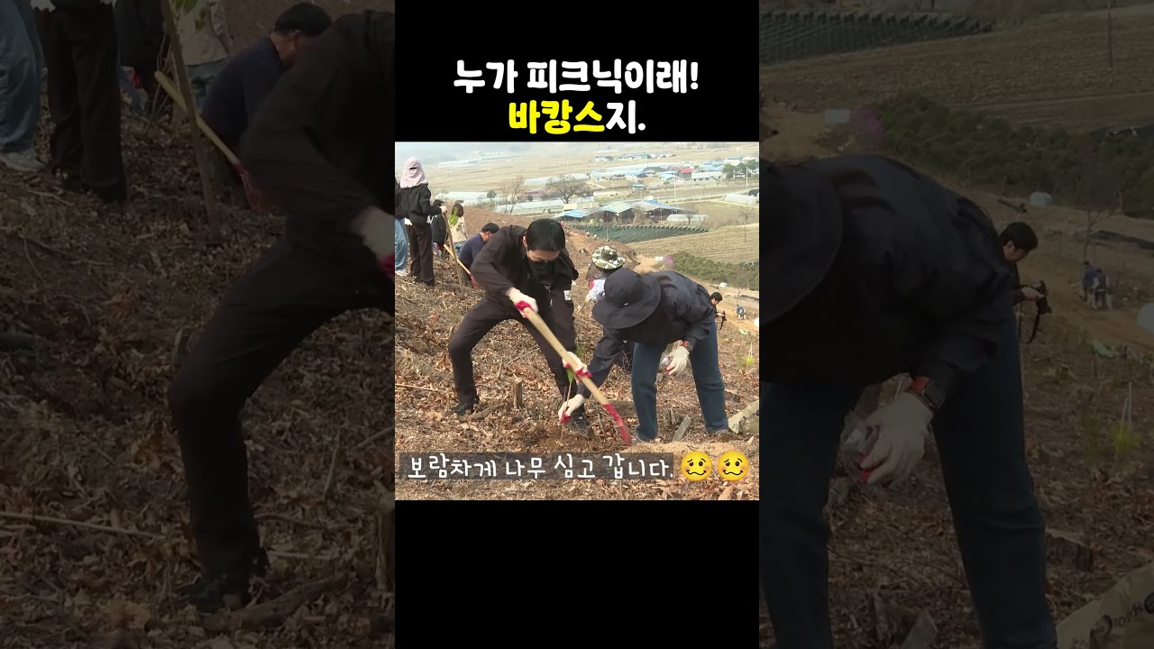 산에서 도시락 먹는다면서요.