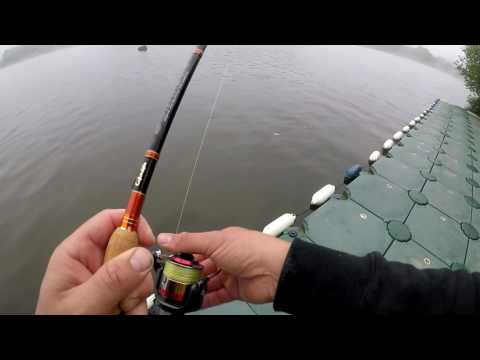 Z-Man Streakz vs perch vs pike ft Toad TV