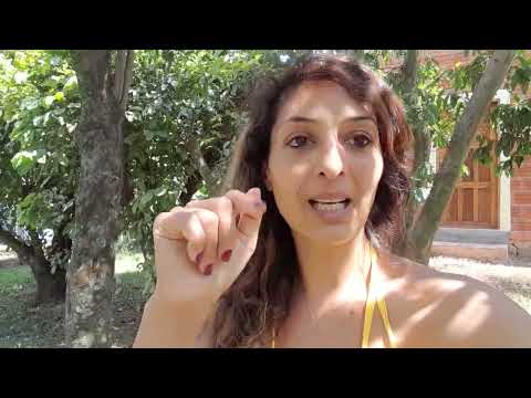 #rhneg , rh- , resus neg, Blutgruppe,  Rituale , was du wissen solltest