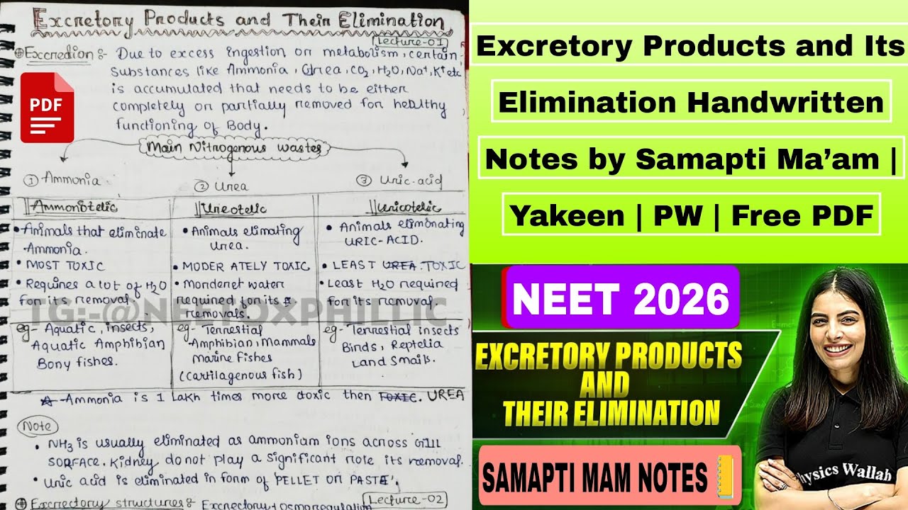 Excretory Products and Its Elimination Handwritten Notes by Samapti Ma’am | Yakeen | PW | Free PDF