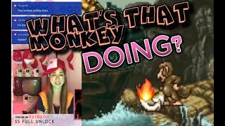 What's that Monkey DOING????