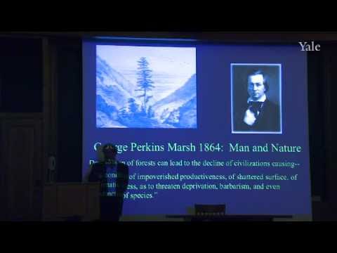 Land Use and Conservation Law: The Adirondack History