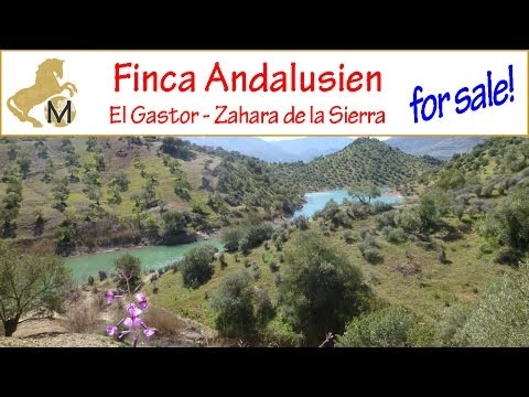 download lagu mp3 mp4 el Zu Verkaufen, download lagu el Zu Verkaufen gratis, unduh video klip el Zu Verkaufen