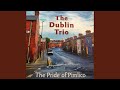 Jigs: An dTiochfaidh Tú Abhaile Liom?, the Trip to Athlone, Eilis's Jig