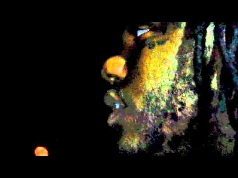 Fat Trel x Lex Luger