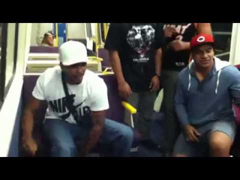 Freestyle With A Islander Crew