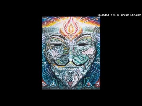 Boom Duck - Psychedelic Drug