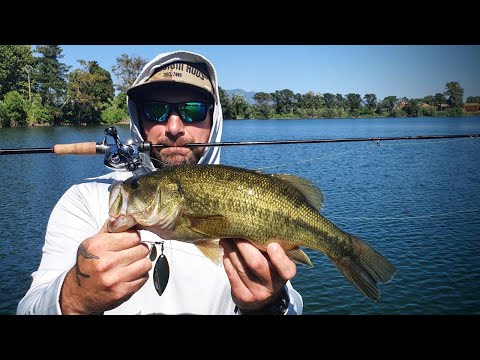 BB Custom Rods on Tour #2  - Rio Ebro, Spain / Pisa, Italy