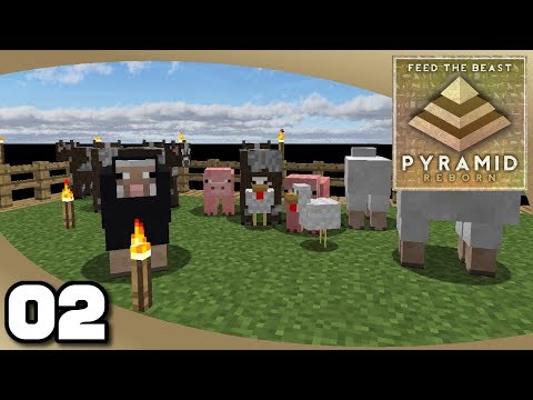 FTB Pyramid Reborn - Ep. 2: Mob Farms