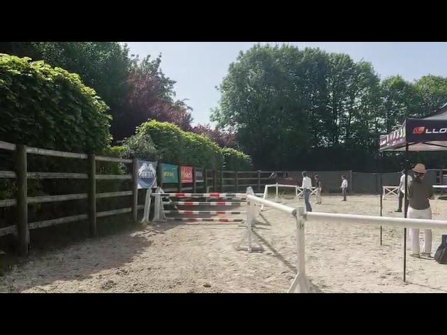 Jument de 3 ans &ndash; top mental, beau potentiel CSO