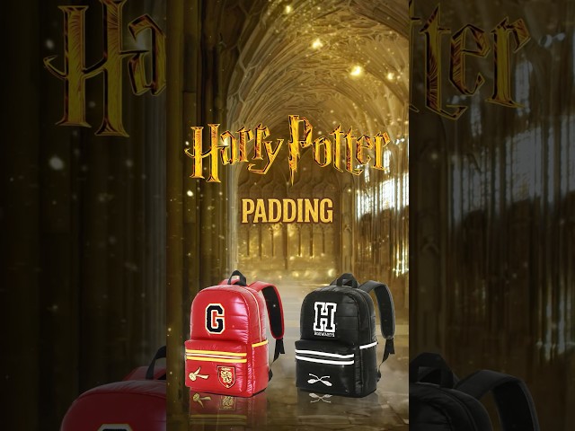 Vídeo relacionado con KARACTERMANIA Harry Potter Railway - Bolso Chest (Pequeño), Marrón, 25 cm