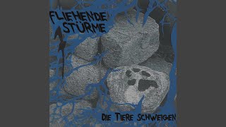 Music video thumbnail preview for Niemals für immer by Fliehende Stürme