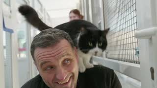 Announcing enable's Charity of the Year - RSPCA Suffolk Central