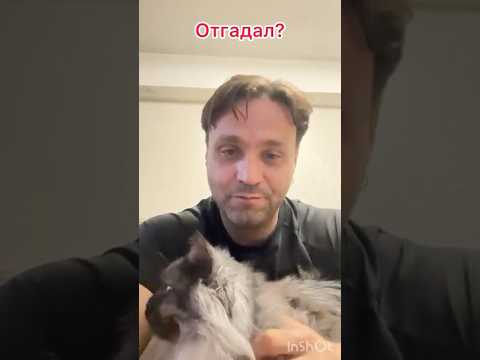 Загадка #shorts #song #music #tranding #youtube #youtubeshorts #youtuber #youtubevideo