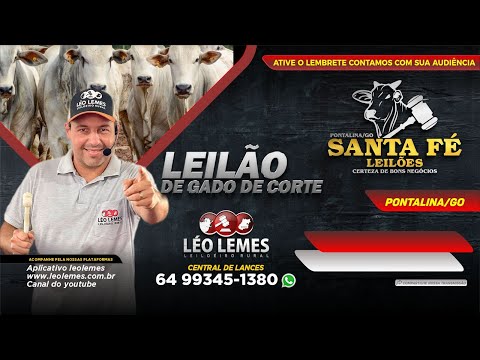Leilão de Gado de Corte em Goiás - Santa Fé Leilões - Pontalina-Go -  18/01/2023 | Leilão Ao Vivo