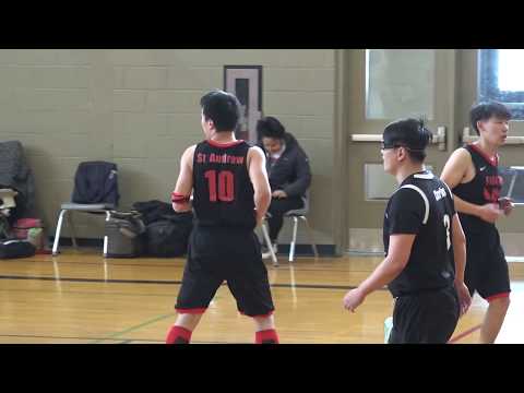 OG Fighters vs Chicago Blues | Sunday tier 6 - tcbl 2020 winter