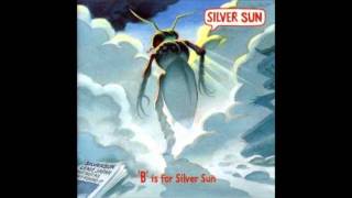 Silver Sun - In Nature