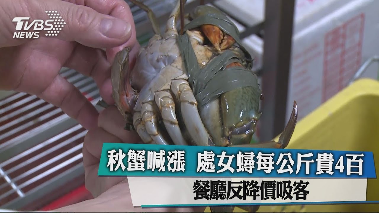 秋蟹喊漲!處女蟳每公斤貴400 餐廳反降價吸客