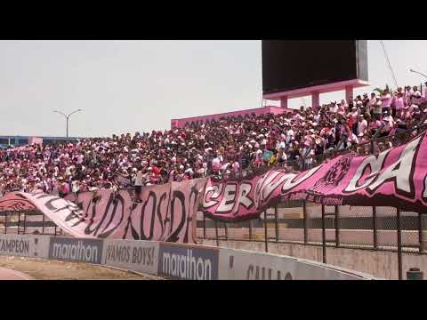 "FECHA 1 | SBA vs CHANKAS | Un partido mas con la hinchada rosada" Barra: Barra Popular Juventud Rosada &bull; Club: Sport Boys