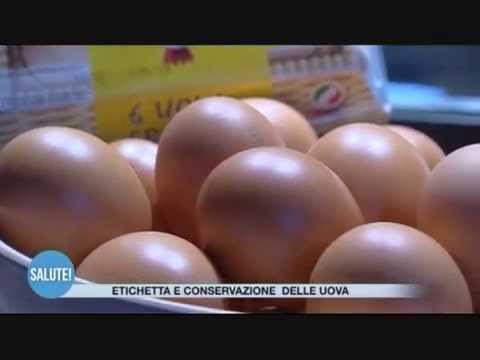 Come identificare lyambliya A un ariete in parassiti di fegato