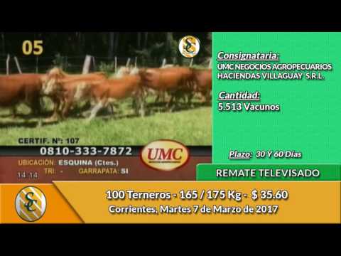 07-03-17 - Venta de Invernada - Remate Televisado de UMC y Haciendas Villaguay -  Corrientes