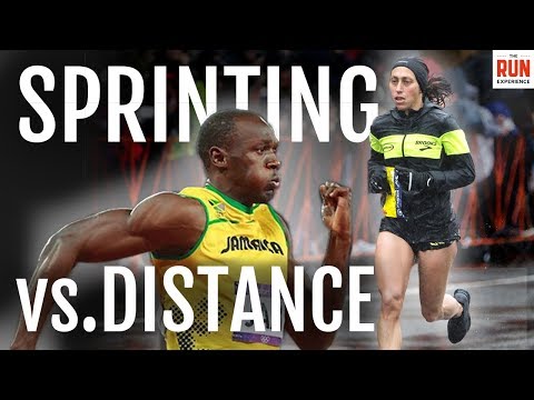 download lagu mp3 mp4 Sprint Vs Marathon, download lagu Sprint Vs Marathon gratis, unduh video klip Download Sprint Vs Marathon Mp3 dan Mp4 Music Gratis