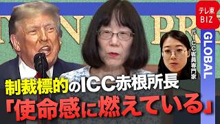 【元ICC客員専門家が語る】口座凍結にGmailも使えず…米国の「ICC解体」圧力と赤根所長のいま