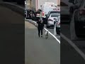 SCHAAP zorgt voor FILE op de SNELWEG | #shorts