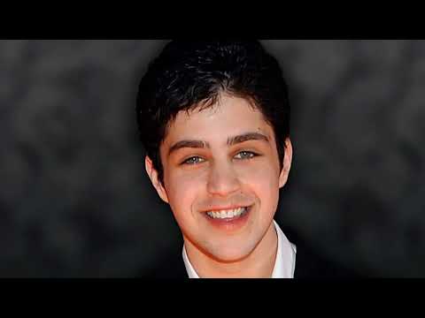 Josh Pecks Net Worth