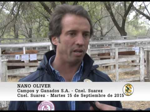 15-09-15 Nota Nano Oliver - Cabaña Lolen - Coronel Suarez.