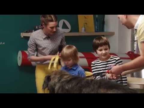 ZB 26ser - VIESI Latvijas mazākais suns Kendija un lielākais suns Alfons