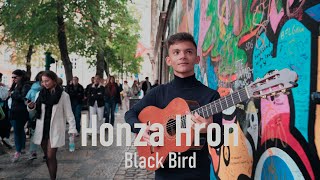 Video Honza Hron - Blackbird (The Beatles Cover)