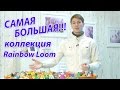 САМАЯ БОЛЬШАЯ коллекция Rainbow Loom в России!!! Урок №100 
