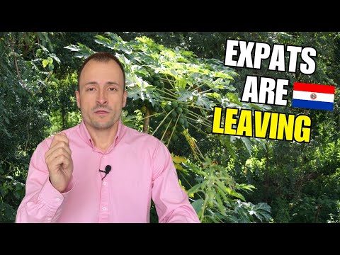 Expats Are Leaving Paraguay In 2025.. What Are Their Reasons?