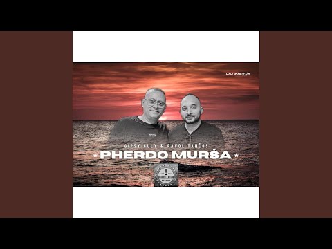 Gipsy Culy Pherdo mursa