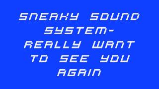 Sneaky Sound System-really want to see you again