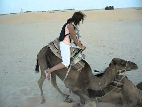 Jak se nasedá na velblouda...