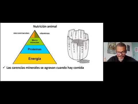 43° Congreso AAPA  - Sección Salud Animal