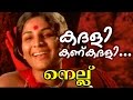 Kadali Kankadali Malayalam Movie Nellu Movie Song Jayabharathi Mohansharma