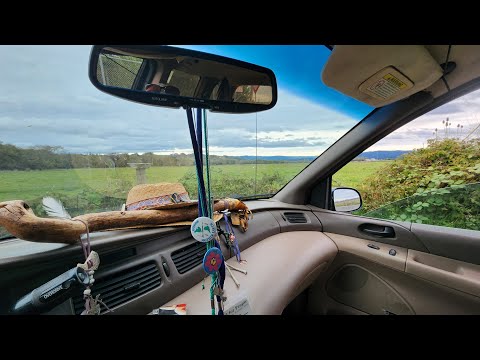 Chillin in the Arcata Bottoms at the Mad River (Fall 2025, Arcata, CA Northern Humboldt County). 