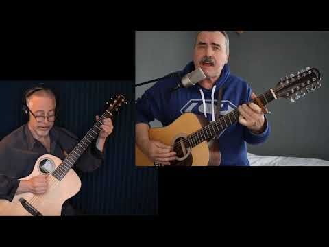 Пример звучания 12-струнной гитары Walden D552E