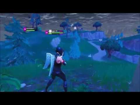 Fortnite | Solo Squads and 23 duo kill win