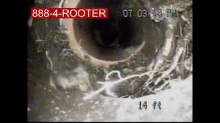 preview picture of video 'Sewer Pipe Video Inspection Roots in Sewer Pipe Modjeska CA 92676'