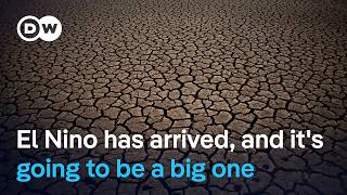 Scientists warn El Niño could reach historic strength, triggering global floods and droughts