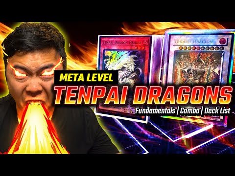 Tenpai Dragon New META Fundamentals - Deck Profile + Combo Lines Deck