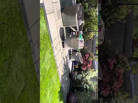 Meadows gardens landscape and driveways video.