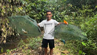 Download lagu CHEK BUBU DAN PUKAT // TENGAHARI KUTIP DURIAN // TIAP HARI MAKAN DURIAN //  mp3