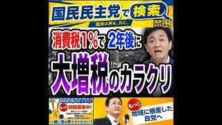 国民民主党 玉木雄一郎 2年後に大増税 7月11日